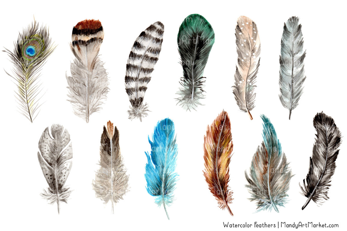 Natural Watercolor Feathers, an Illustration by Amanda Ilkov (Photo 3 of 3)