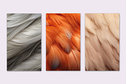 BACKGROUND BIRD VARIOUS FEATHERS, a Background Graphic by Sophico (Thumbnail 3 of 5)