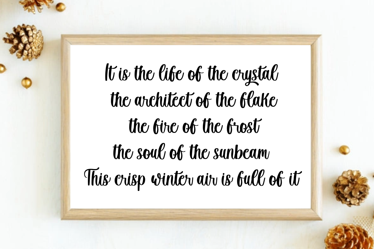 Winter Creative – Script Font, a Script Font by Fikryal Studio (Photo 2 of 10)