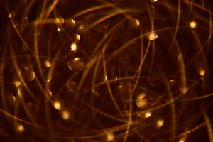 Christmas lights defocused celebration mood spark, a Background Photo by Photo Drive Studio
