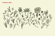 Farm Fresh Hand Drawn Illustrations, an Illustration by Oti Lu Studio (Thumbnail 8 of 8)