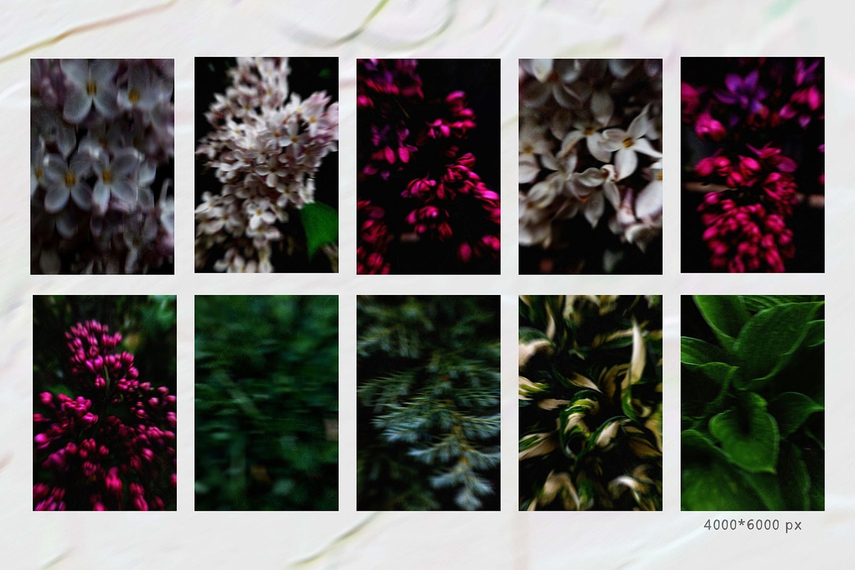 Dark bloom. Floral Backgrounds, a Background Graphic by PaperJamLab (Photo 9 of 14)
