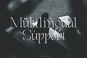 Elviante - Condensed Serif Font, a Serif Font by Flawless And Co (Thumbnail 10 of 10)