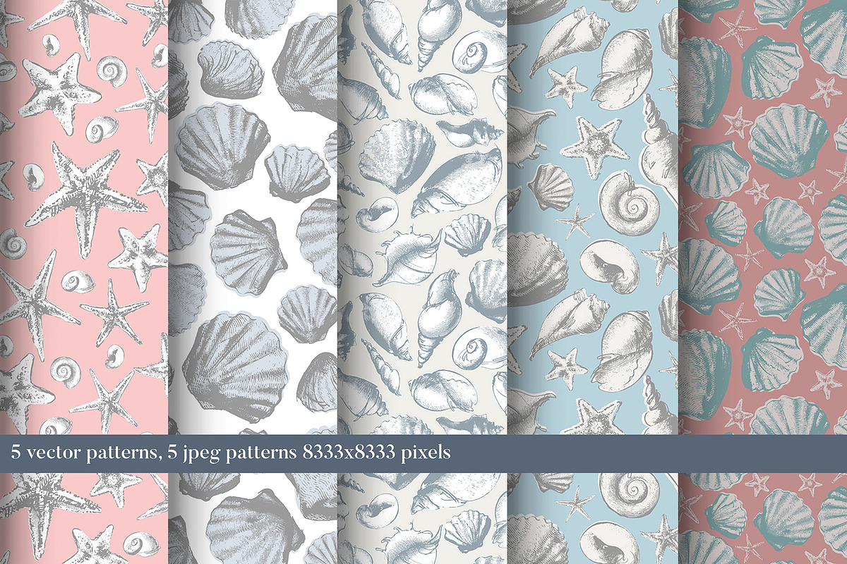 Vintage shell, an Illustration by Siosay (Photo 4 of 8)