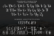 Rustic Elegant, a Handwritten Font by FreshTypeINK (Thumbnail 8 of 8)