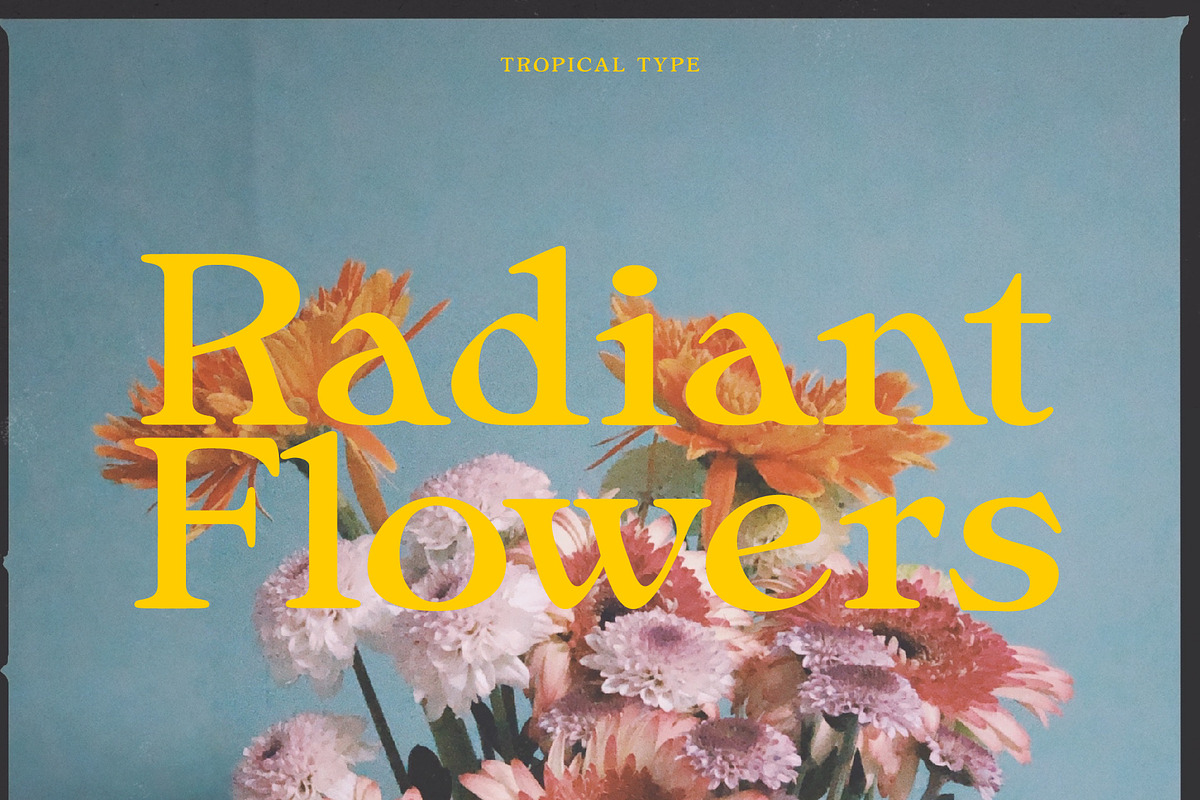 Sunliner Revival Retro Font, a Serif Font by Tropical Type (Photo 11 of 12)