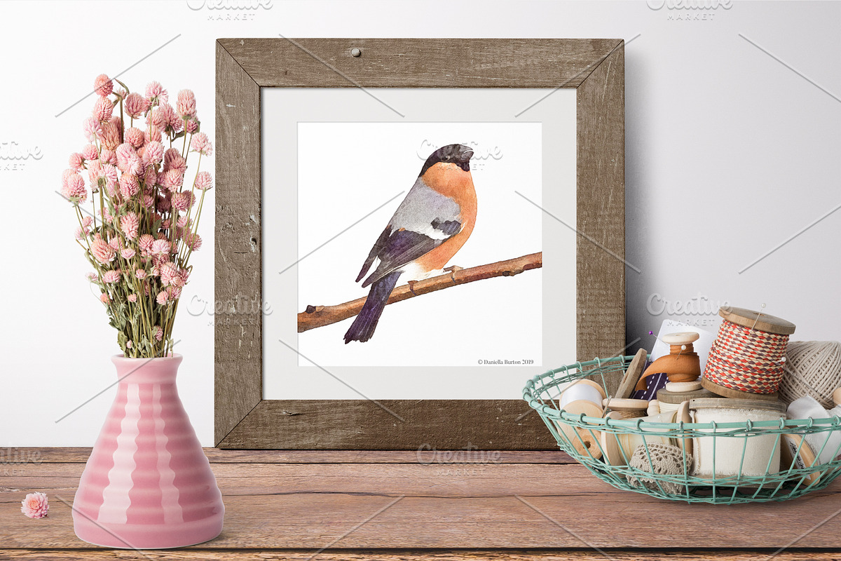 7 Garden Birds- Pack 1, an Illustration by WeavaBird (Photo 3 of 3)