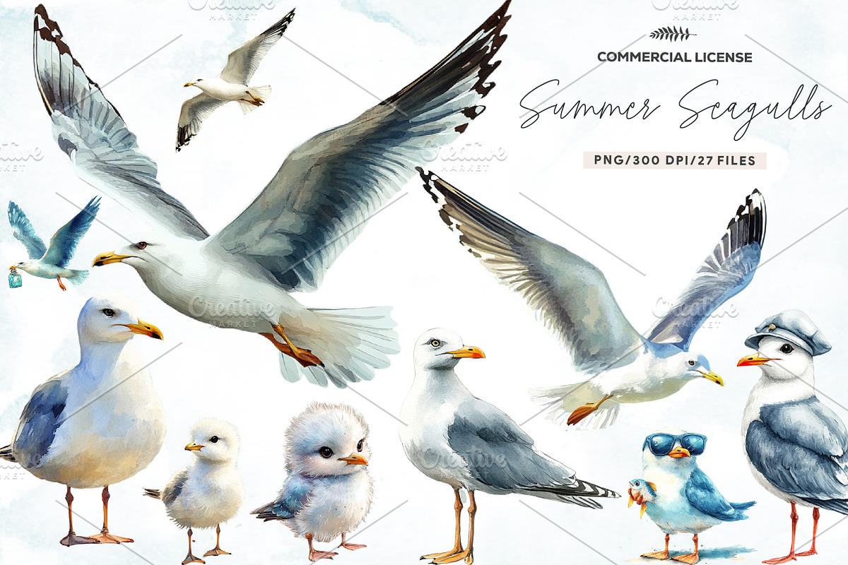 Watercolor Summer Seagulls Clipart, an Illustration by CreationArt (Photo 1 of 5)