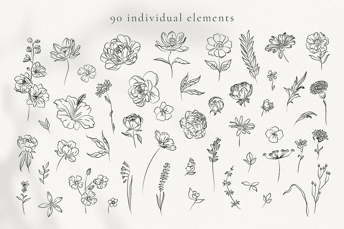 Hand-drawn Line Art Summer Flowers, a Decorative Illustration by La Petite Line Art (Photo 2 of 12)