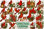Christmas Red Cardinal Clipart Bundl, an Illustration by SVGArt (Thumbnail 1 of 8)