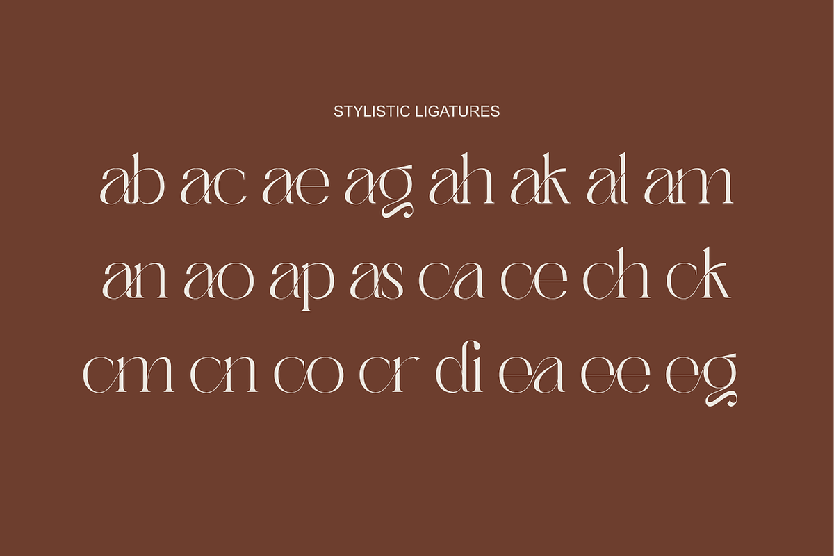 Abask - Modern Ligatures Font, a Serif Font by Nirmana Visual (Photo 4 of 12)