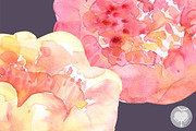 Watercolor clipart Peony Gentle Kiss, an Illustration by AqwaColor (Thumbnail 4 of 5)