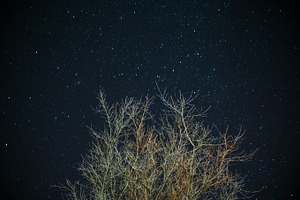 Starry Winter Night