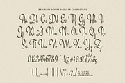Bravelyn Script Family, a Script Font by Get Studio (Thumbnail 11 of 12)