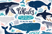 Cute Whales. Characters & patterns, an Animal Illustration by MagicForestory (Thumbnail 1 of 12)