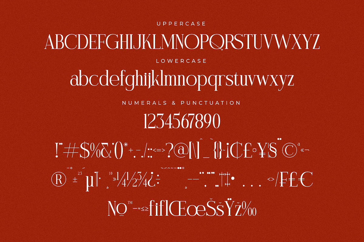 Modasite Modern Serif Font, a Serif Font by Letterena Studios (Photo 12 of 14)