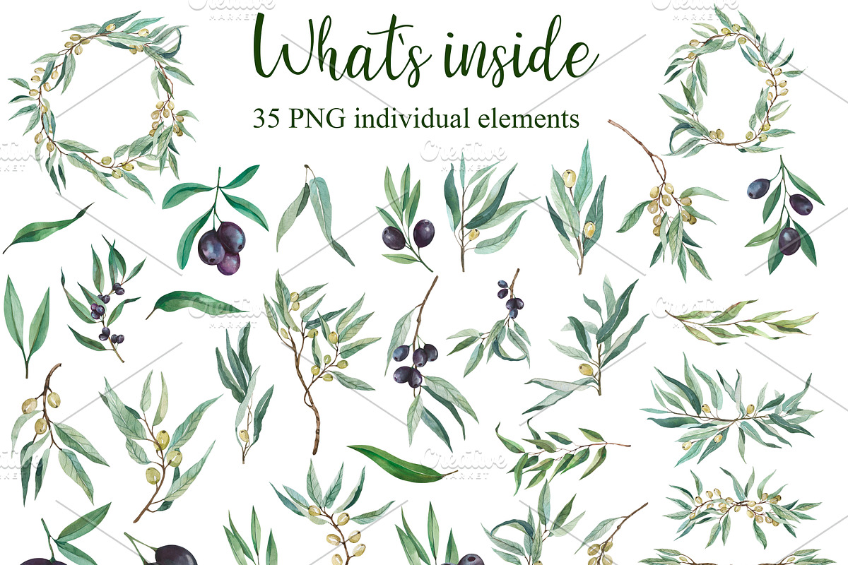 Olive Watercolor Clipart PNG, a Decorative Illustration by PatternPalette (Photo 2 of 8)