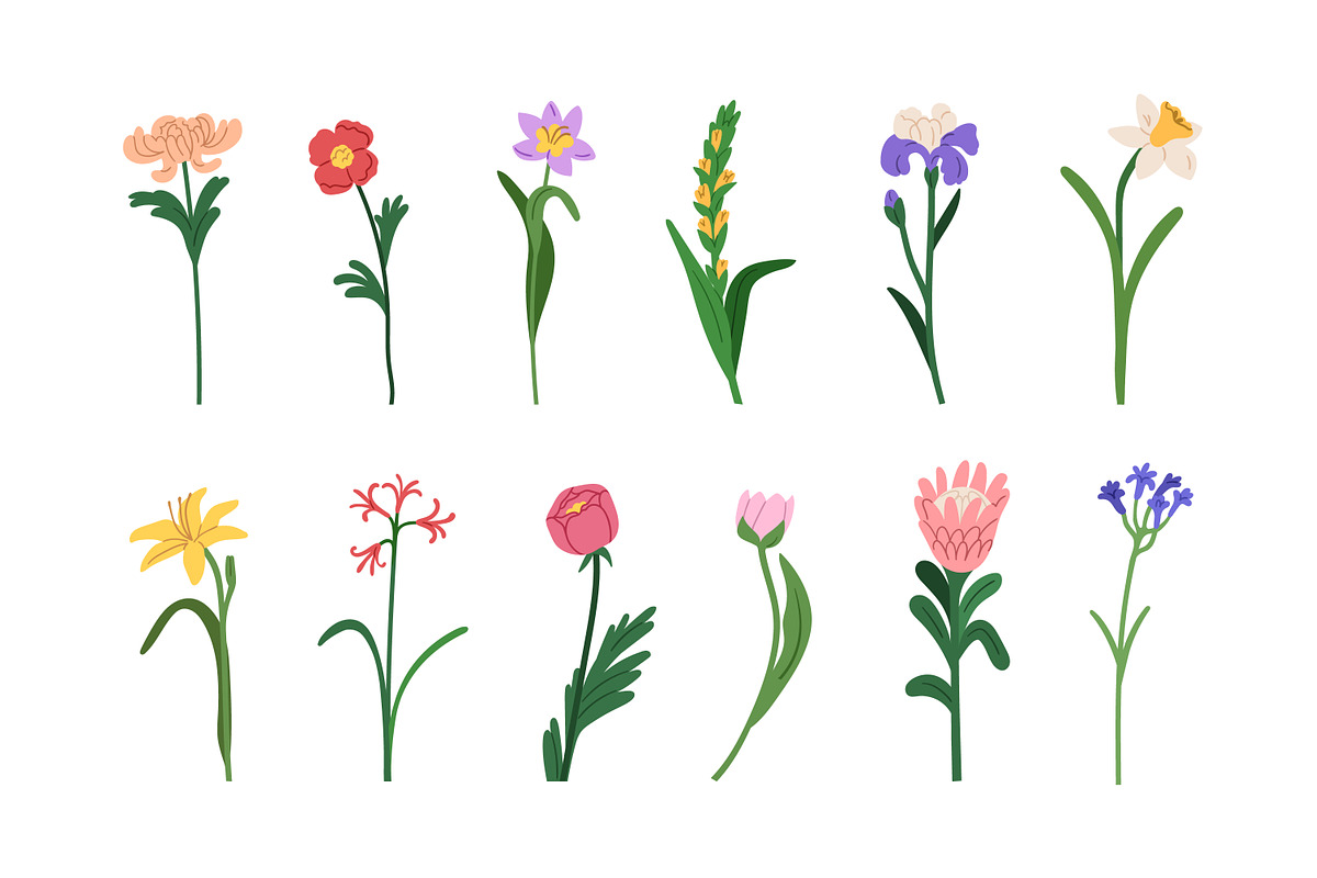Blossomed flowers, floral plants set, a Decorative Illustration by Good Studio (Photo 2 of 6)