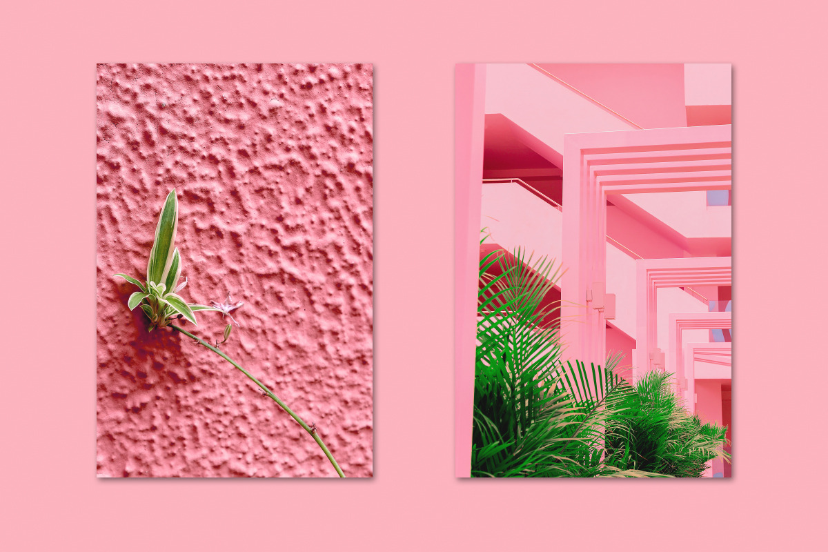 Minimalist pink bundle 12, a Beauty & Fashion Photo by Jenya Porechenskaya (Photo 6 of 7)