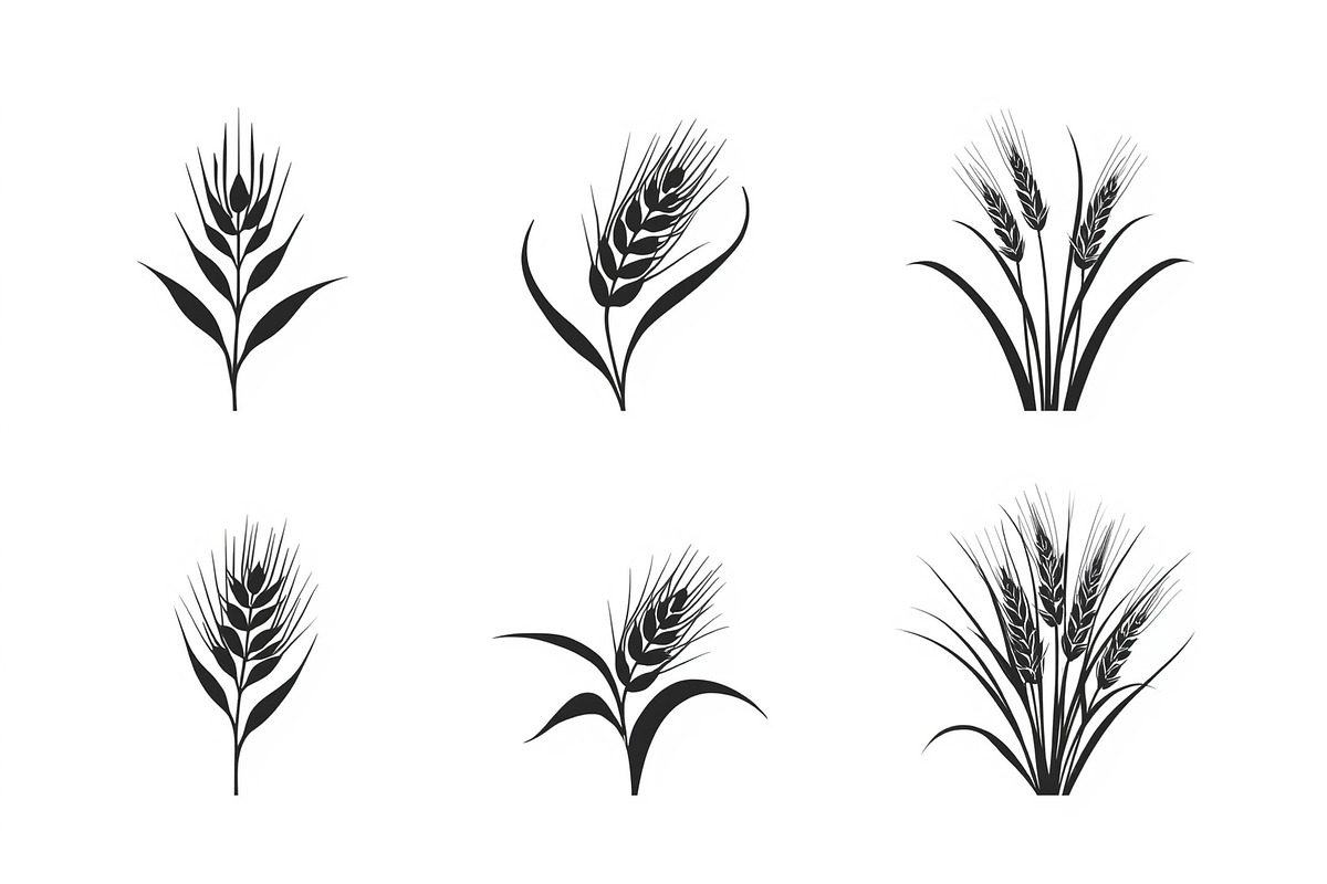Grass & Wheat Files, an Illustration by jahid234 (Photo 2 of 9)