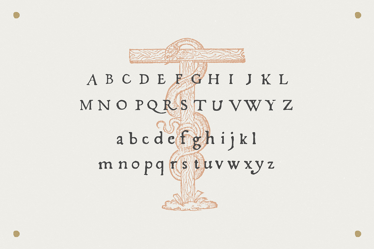 Fratelli - Serif font + Extras preview 4