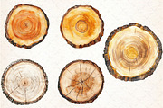 Watercolor Wood Slice Clipart, an Illustration by Libby Wishes (Thumbnail 6 of 6)