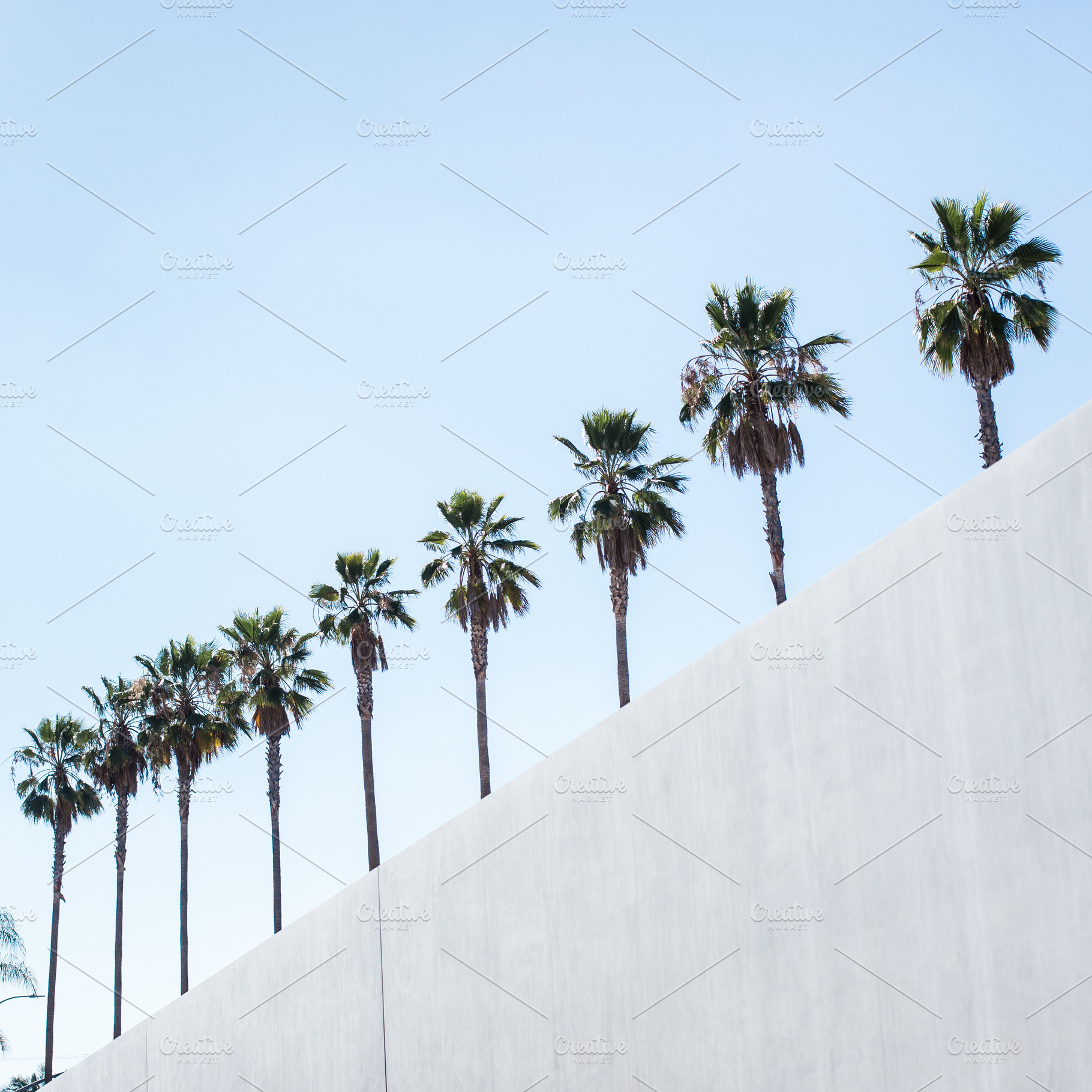 Palm Trees with a diagonal wall, a Photo by morningrituals