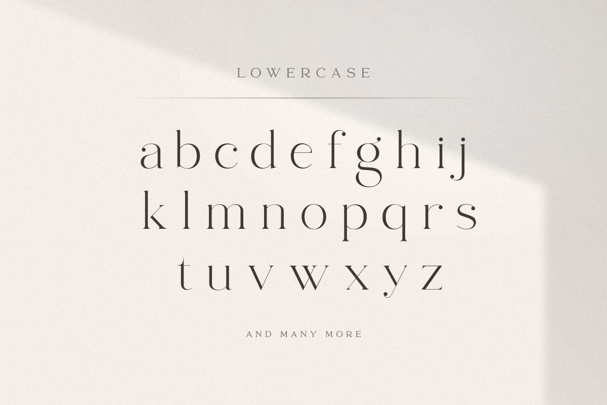 abigail - unique ligature font, a Serif Font by Sensatype (Photo 20 of 32)