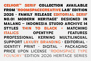 Celvor Edition – Serif Font Family, a Serif Font by roomspace creative lab (Thumbnail 3 of 12)