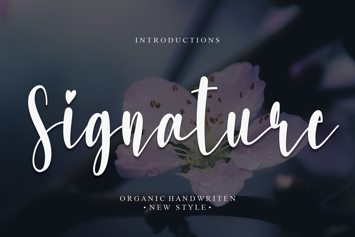 Signature | Script font, a Script Font by Scratchones (Photo 1 of 8)
