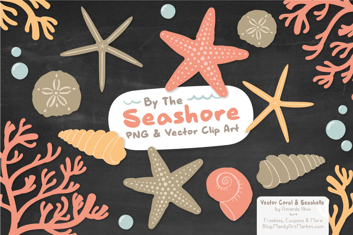 Antique Peach Vector Seashells, an Illustration by Amanda Ilkov (Photo 3 of 5)