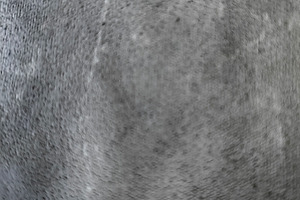 Textured light surface, an Abstract Photo by DanFLCreativo