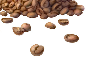 Coffee Beans Pencil Illustration