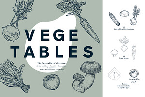 The Vegetables Collection, a Food Illustration by dicreate
