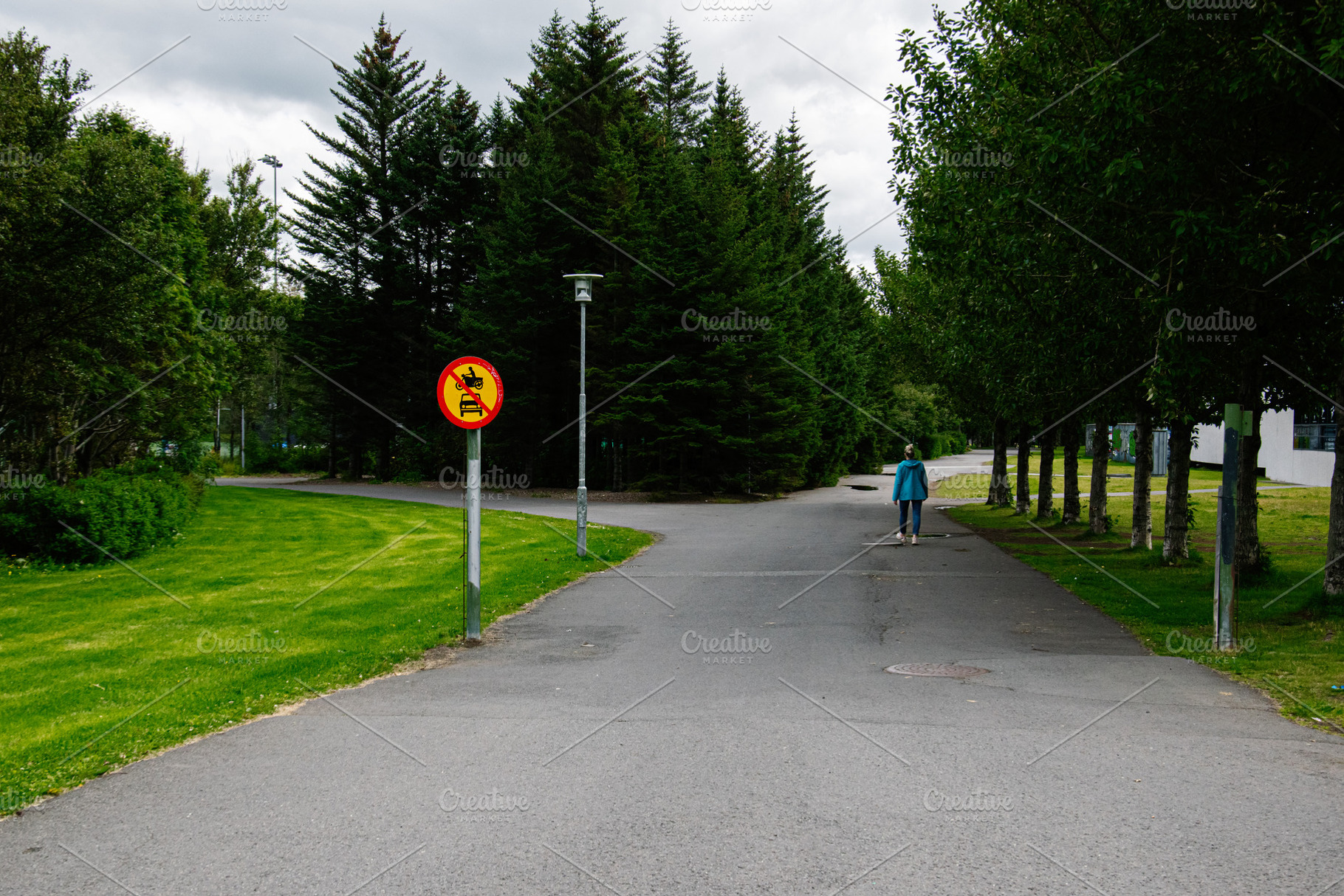 Quiet pathway in Reykjavik, Iceland surrounded by greenery and distant trees vi, a Photo by AS photostudio