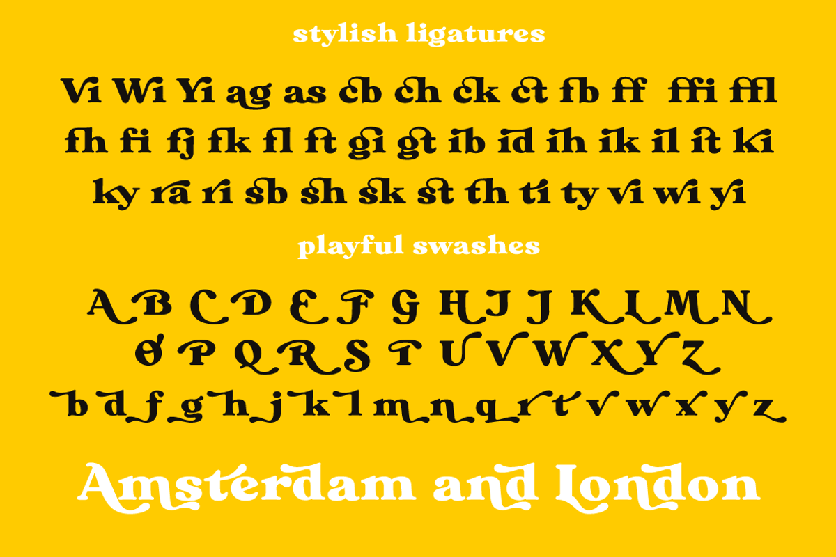 Bikker Black, Funky serifs, a Serif Font by TypeFaith Fonts (Photo 5 of 11)