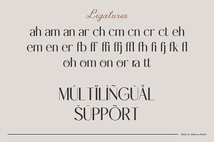 Denvort Ligature Sans