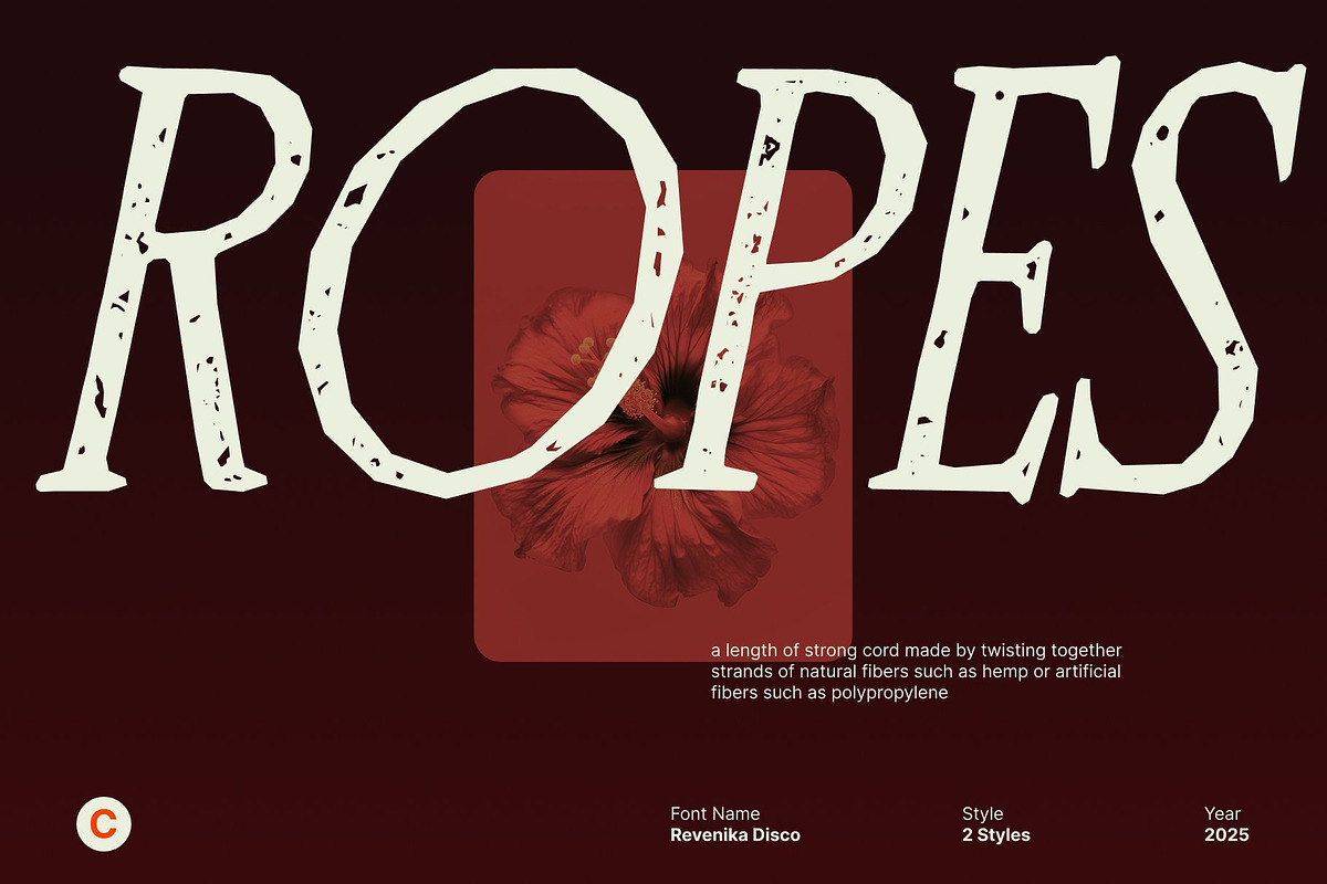 CS Arquis Stamp, a Serif Font by Craft Supply Co. (Photo 6 of 8)