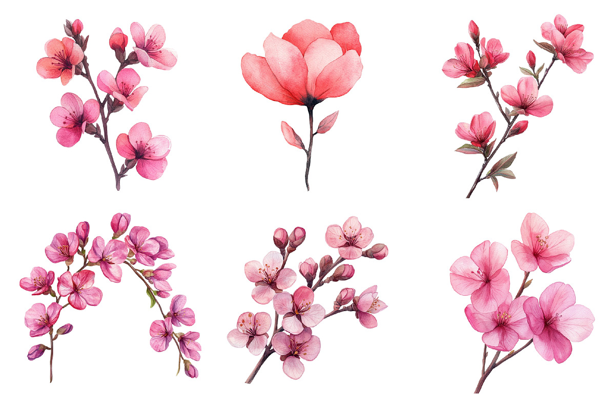 Spring Redbud Flower Clipart, an Illustration by SinaCreation (Photo 4 of 5)