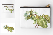 Hazelnuts in botanical style, a Food Illustration by Ann Astro (Thumbnail 6 of 8)