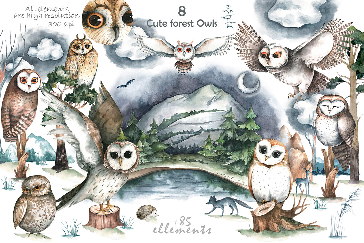 Cute forest owl. Wildlife watercolor, an Animal Illustration by Ann Art Houze (Photo 2 of 10)