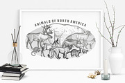 Animals of North and South America., an Object Graphic by MarinaVorontsova (Thumbnail 4 of 5)