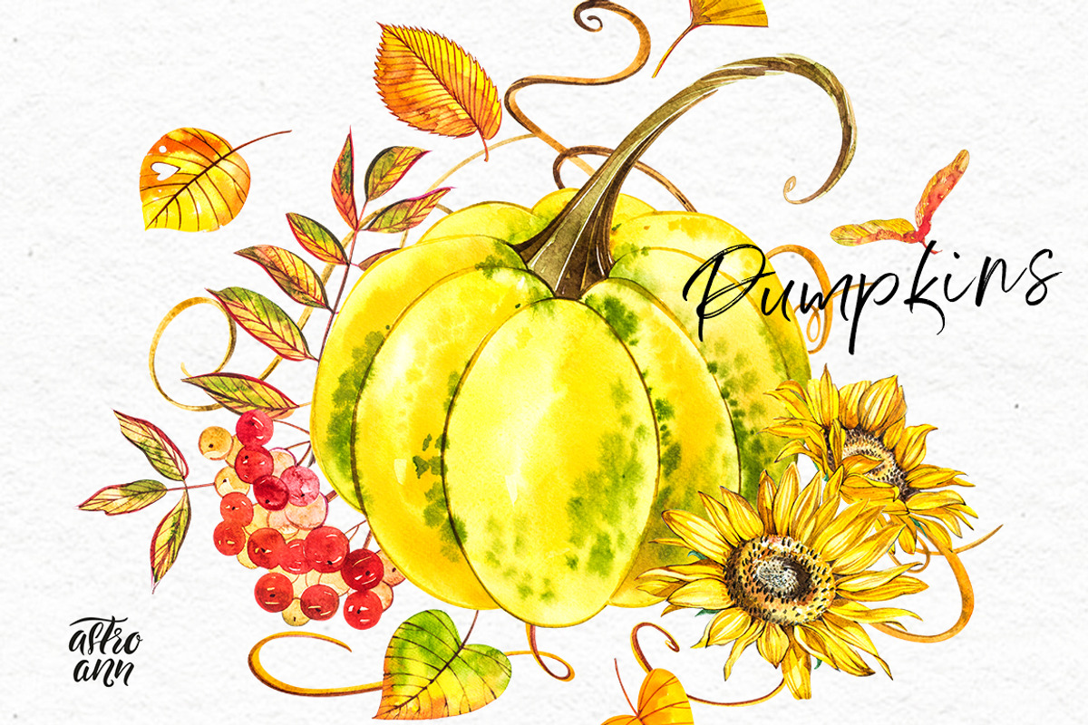 Pumpkins watercolor collection, a Food Illustration by Ann Astro (Photo 10 of 17)