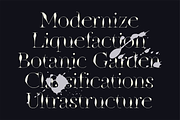 Godwit Font Family with Extras, a Serif Font by Yasir Ekinci (Thumbnail 2 of 25)