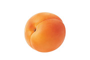 All Fruits Bundle Master Collection, a Food & Drink Photo by FlyeredTemplate (Thumbnail 25 of 130)