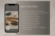 Instagram Coach Template Bundle, a Social Media Template by Faytemplates (Thumbnail 10 of 11)