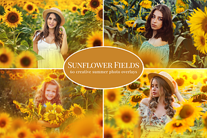 Sunflower Fields Photo Overlays