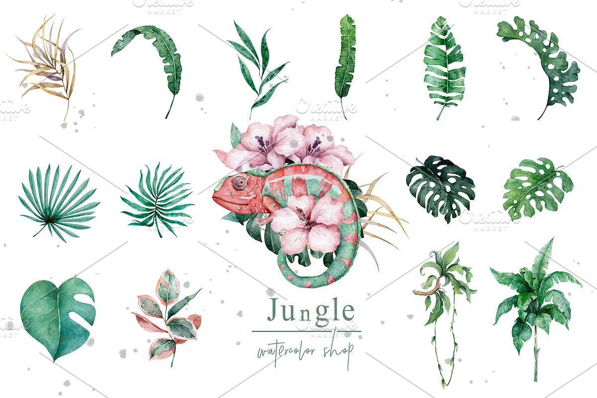 Tropical Wildlife Watercolor set, an Illustration by Ann Art Houze (Photo 5 of 13)