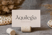 Avegreat - Sans Serif Font, a Sans Serif Font by Digitype Studio (Thumbnail 11 of 13)