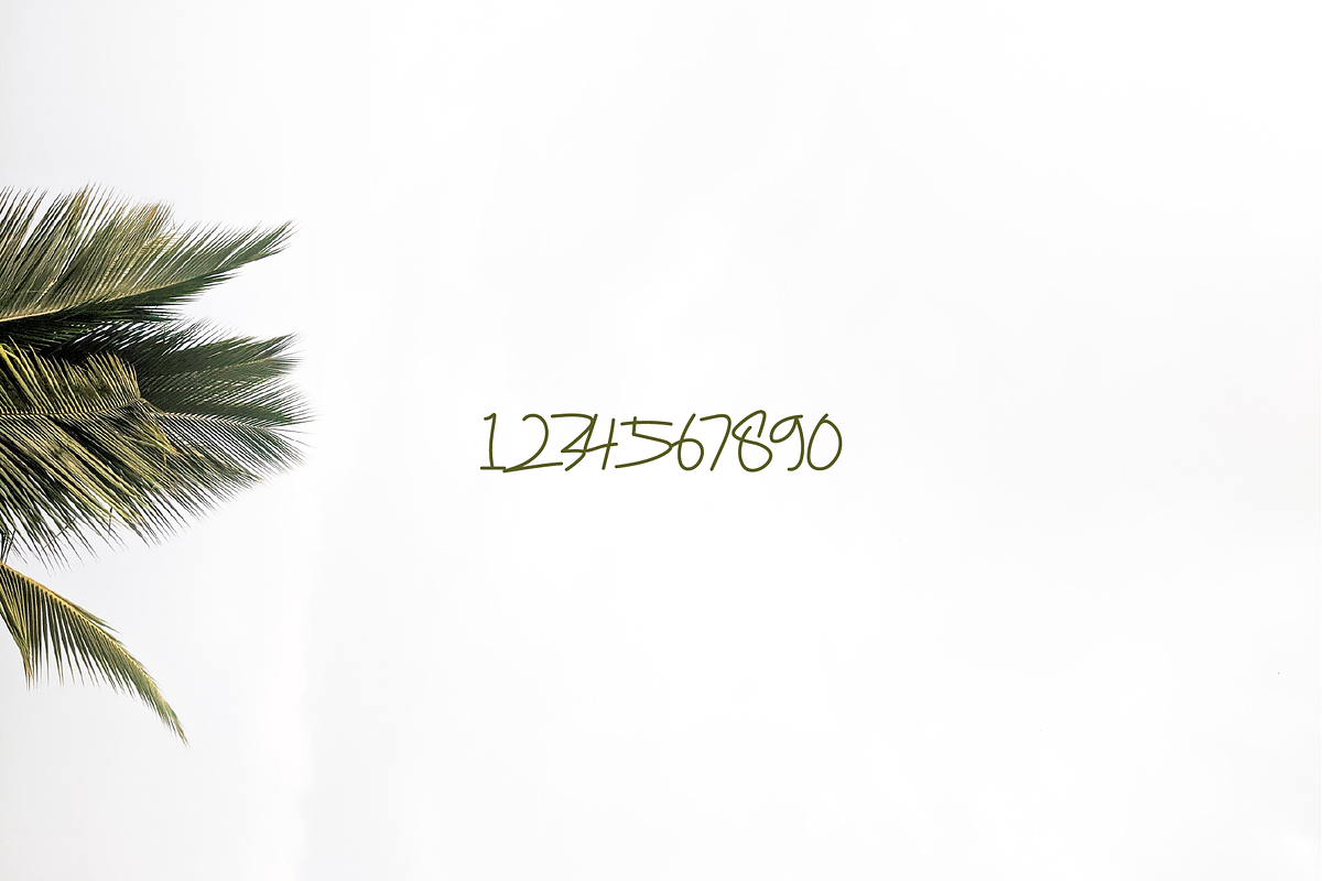 Belarak Coconut Font, a Script Font by Erifqizefont (Photo 3 of 5)